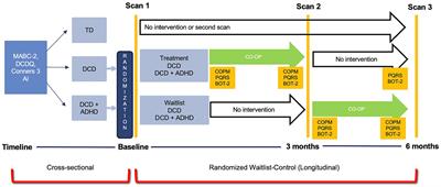 Changes in cortical grey matter volume with Cognitive Orientation to daily Occupational Performance intervention in children with developmental coordination disorder